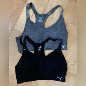 puma sports bras new